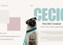 create engaging pet ugc video ads with my charismatic pug